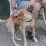 IMG-20260930-WA0078